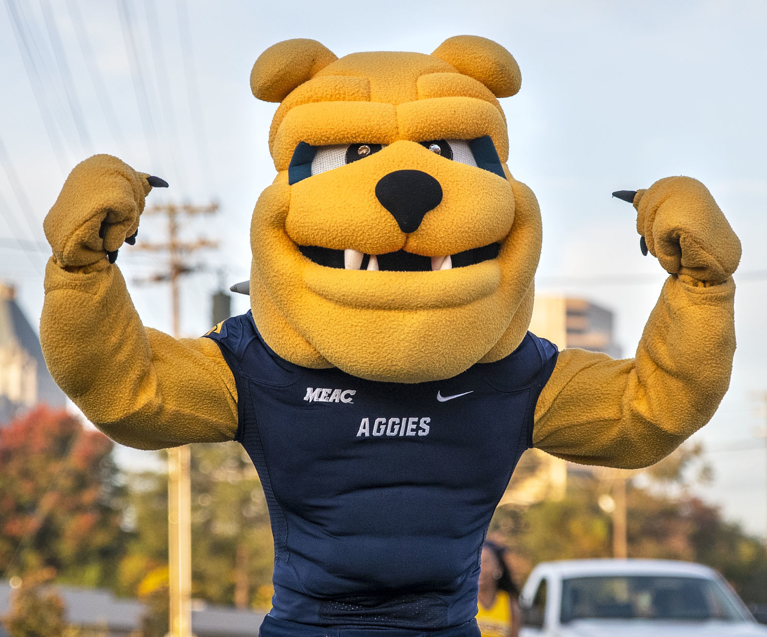 N.C. A&T Homecoming Parade